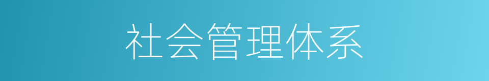 社会管理体系的同义词