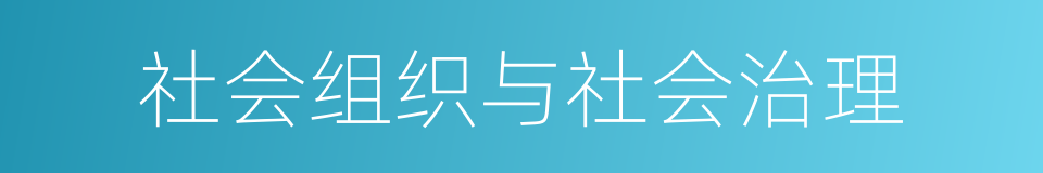 社会组织与社会治理的同义词