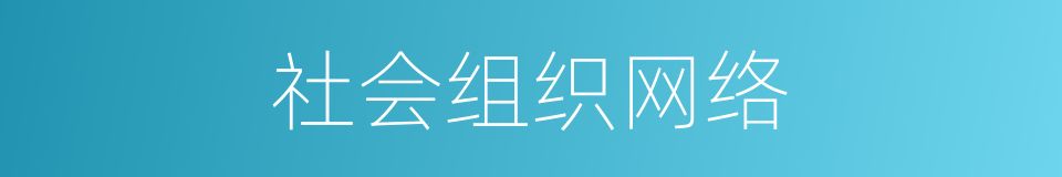 社会组织网络的同义词