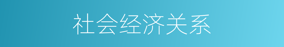 社会经济关系的同义词
