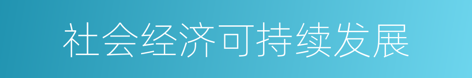 社会经济可持续发展的同义词