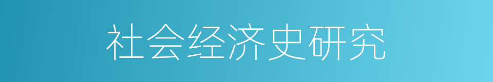 社会经济史研究的同义词