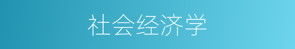社会经济学的同义词