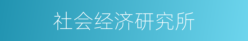 社会经济研究所的同义词