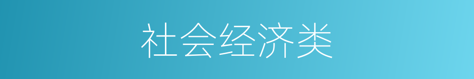 社会经济类的同义词