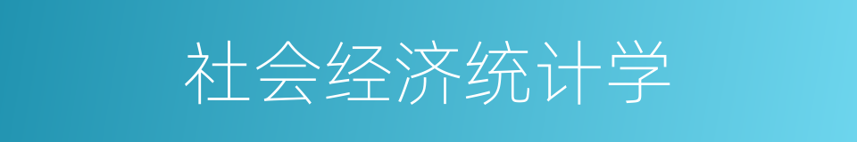 社会经济统计学的同义词