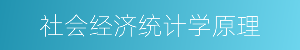 社会经济统计学原理的同义词