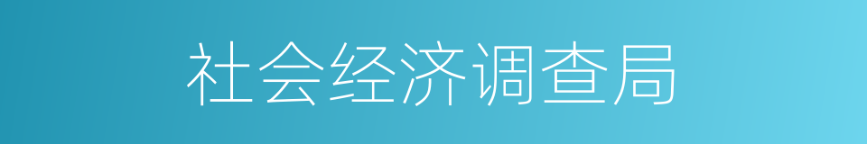 社会经济调查局的同义词