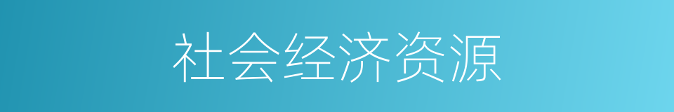 社会经济资源的同义词