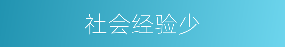 社会经验少的同义词