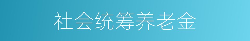 社会统筹养老金的同义词