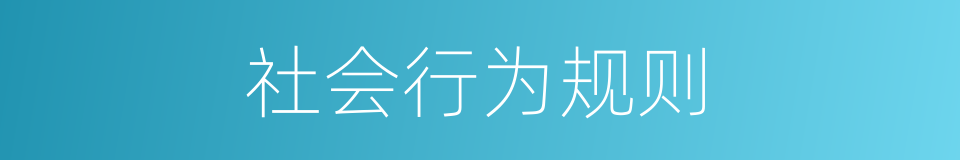 社会行为规则的同义词