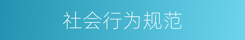 社会行为规范的同义词
