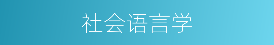 社会语言学的意思