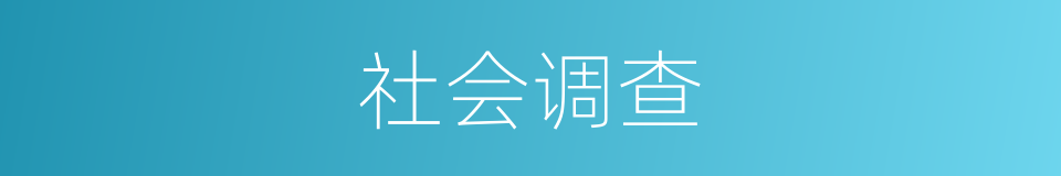 社会调查的意思