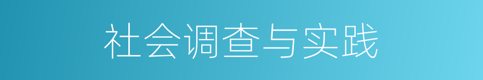 社会调查与实践的同义词