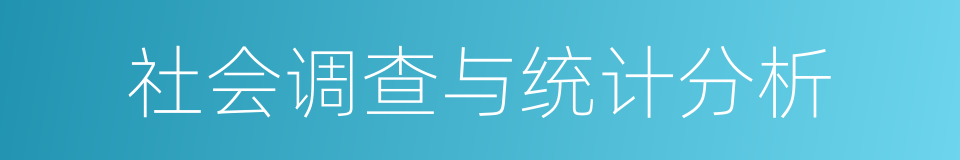 社会调查与统计分析的同义词