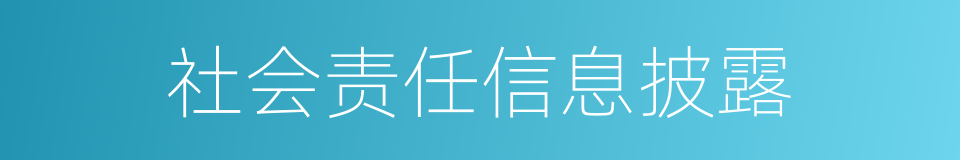 社会责任信息披露的同义词