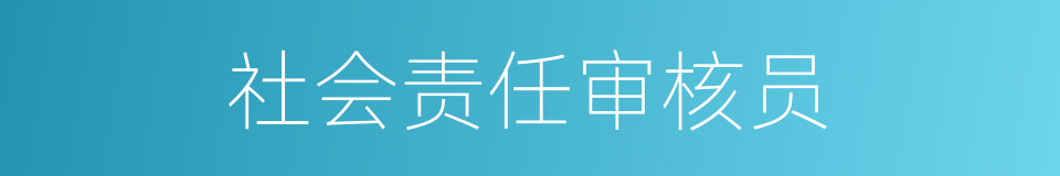 社会责任审核员的同义词