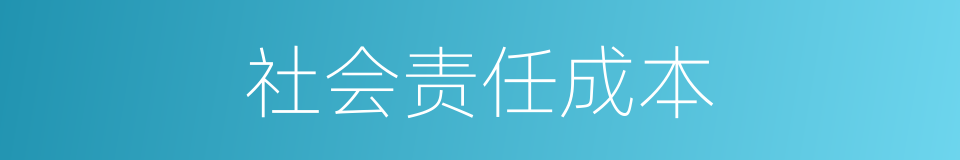 社会责任成本的同义词