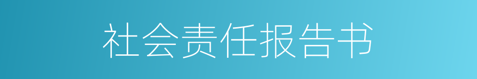 社会责任报告书的同义词