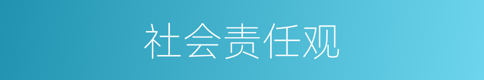 社会责任观的同义词