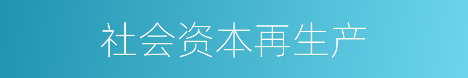 社会资本再生产的同义词