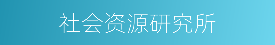 社会资源研究所的同义词