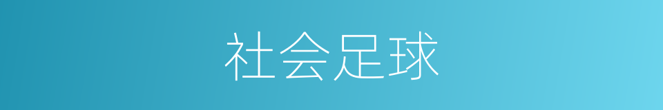 社会足球的同义词