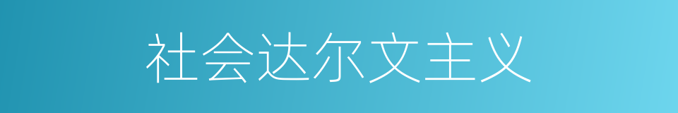 社会达尔文主义的同义词