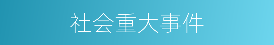 社会重大事件的同义词
