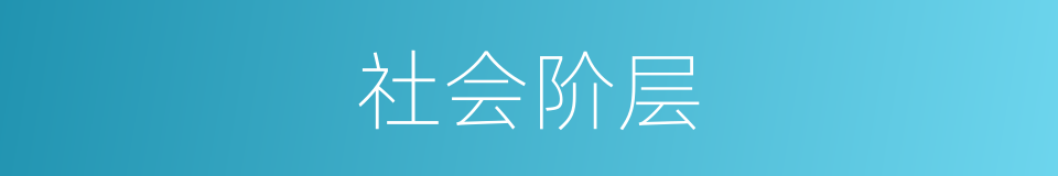 社会阶层的意思