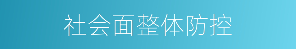 社会面整体防控的同义词