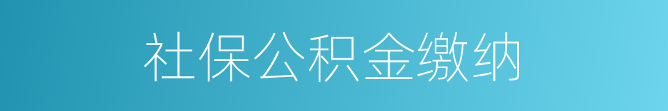 社保公积金缴纳的同义词