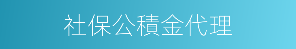 社保公積金代理的同義詞