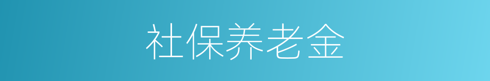 社保养老金的同义词