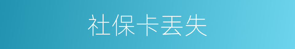 社保卡丟失的同義詞