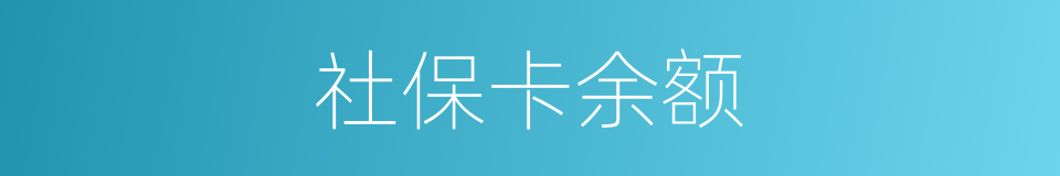 社保卡余额的同义词