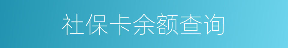 社保卡余额查询的同义词