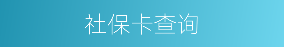 社保卡查询的同义词