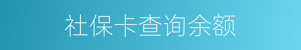 社保卡查询余额的同义词