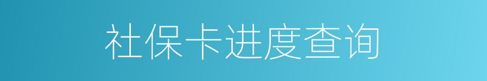 社保卡进度查询的同义词