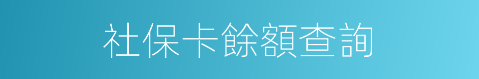 社保卡餘額查詢的同義詞