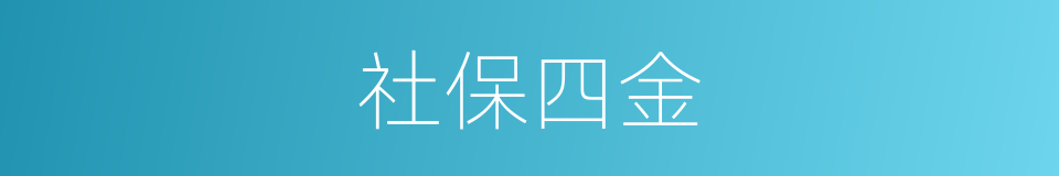 社保四金的同义词