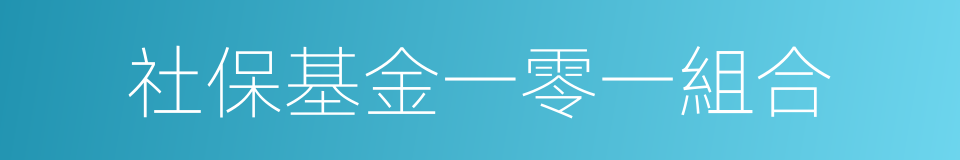 社保基金一零一組合的同義詞