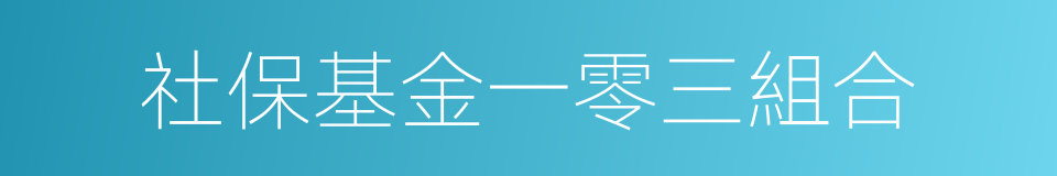 社保基金一零三組合的同義詞