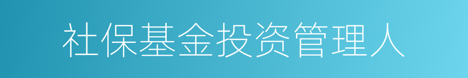 社保基金投资管理人的同义词