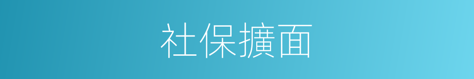 社保擴面的同義詞