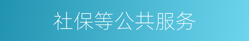 社保等公共服务的同义词