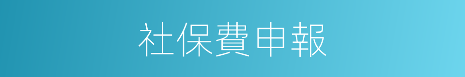 社保費申報的同義詞